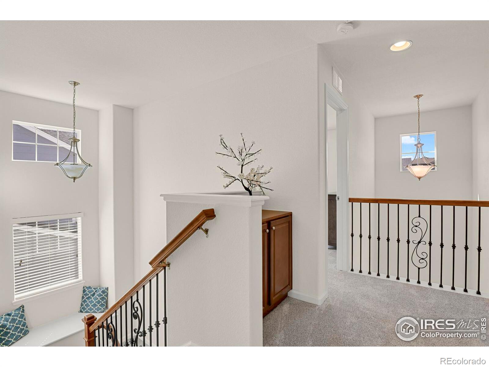 MLS Image #24 for 1429  wandering way,castle rock, Colorado