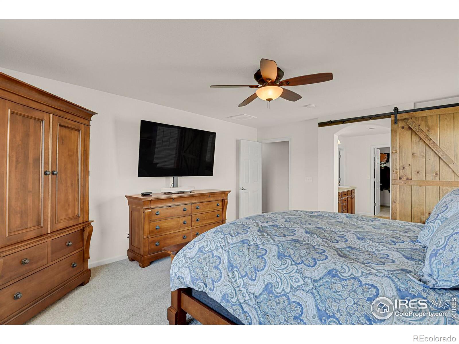 MLS Image #28 for 1429  wandering way,castle rock, Colorado