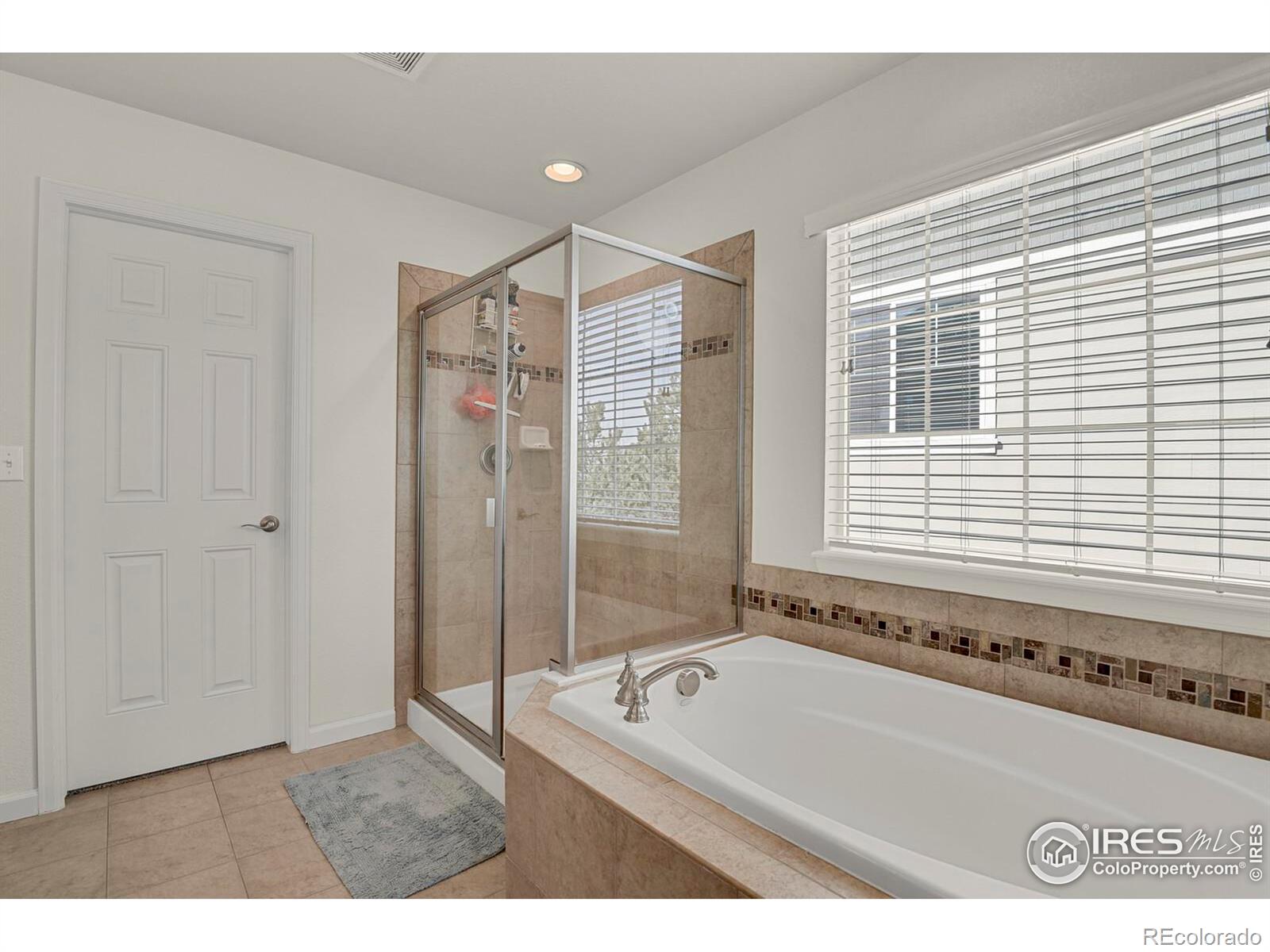 MLS Image #30 for 1429  wandering way,castle rock, Colorado