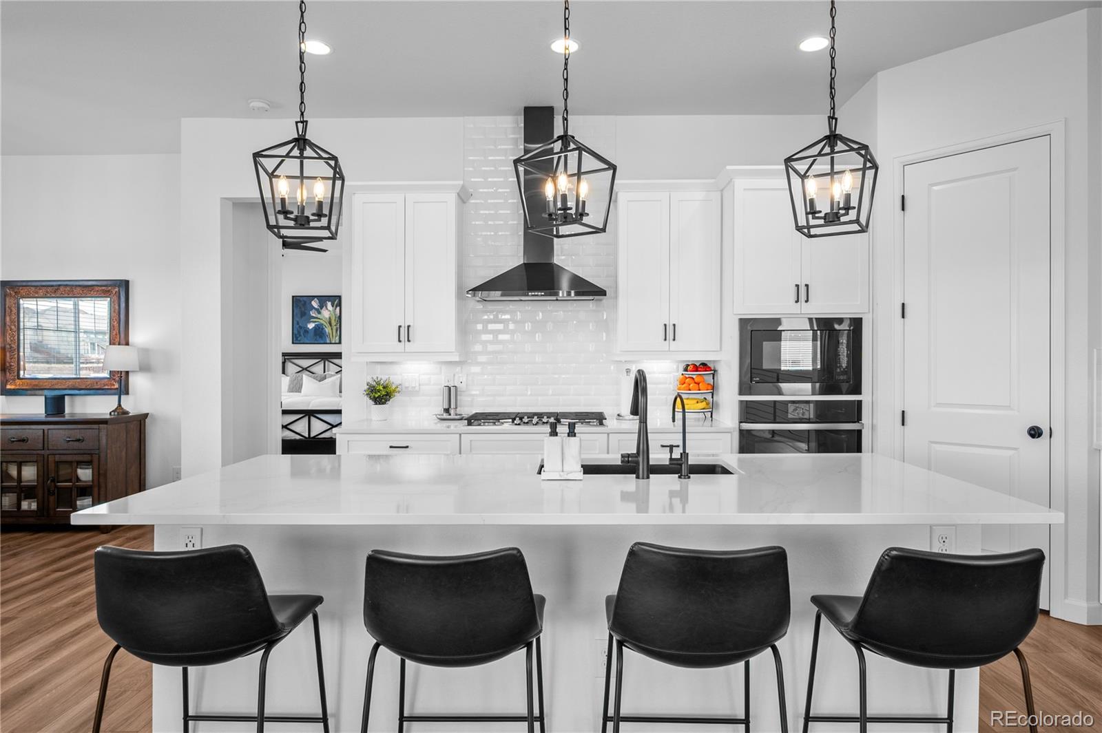MLS Image #19 for 1589  gentle rain drive,castle rock, Colorado