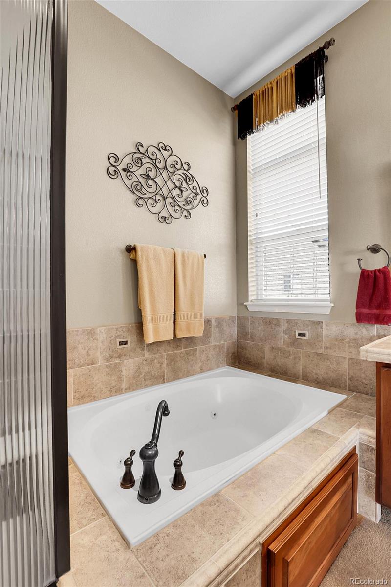 MLS Image #29 for 10145  joseph drive,highlands ranch, Colorado