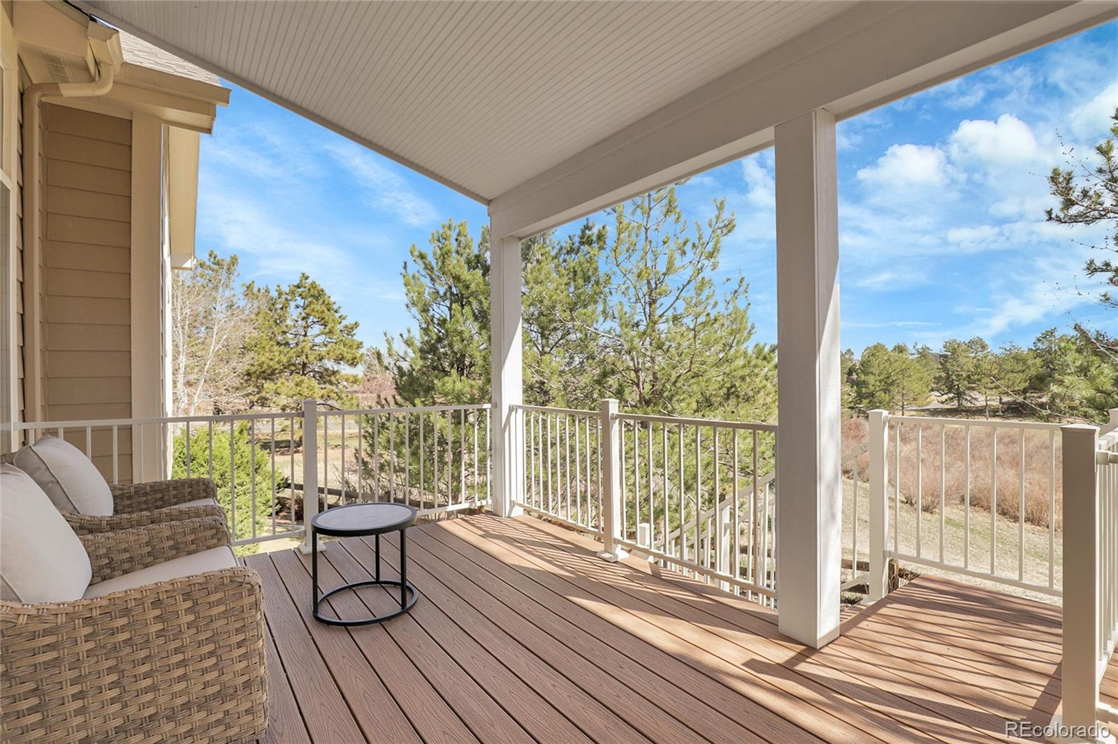 MLS Image #41 for 10145  joseph drive,highlands ranch, Colorado