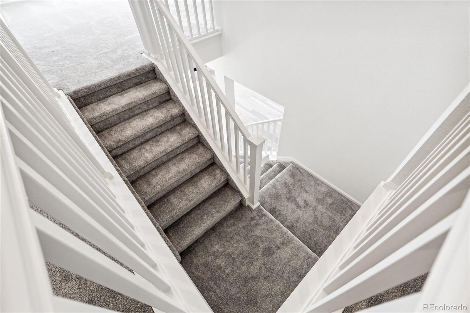 MLS Image #19 for 1871  water birch way,castle rock, Colorado