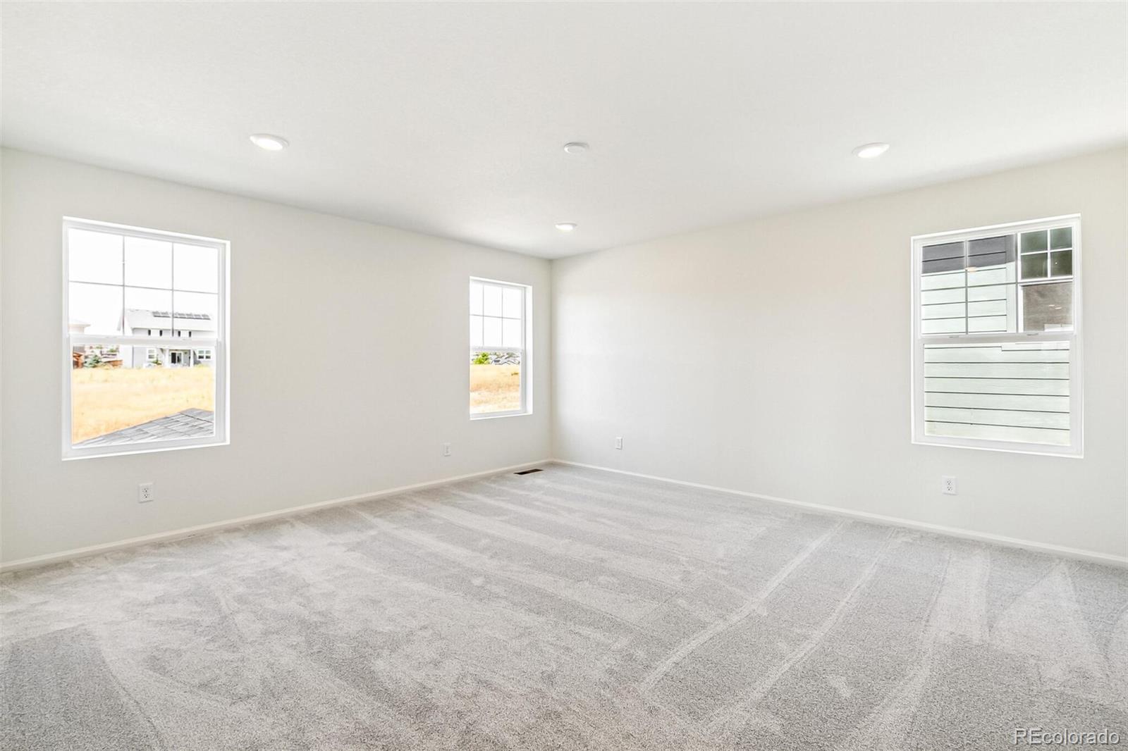 MLS Image #22 for 1871  water birch way,castle rock, Colorado