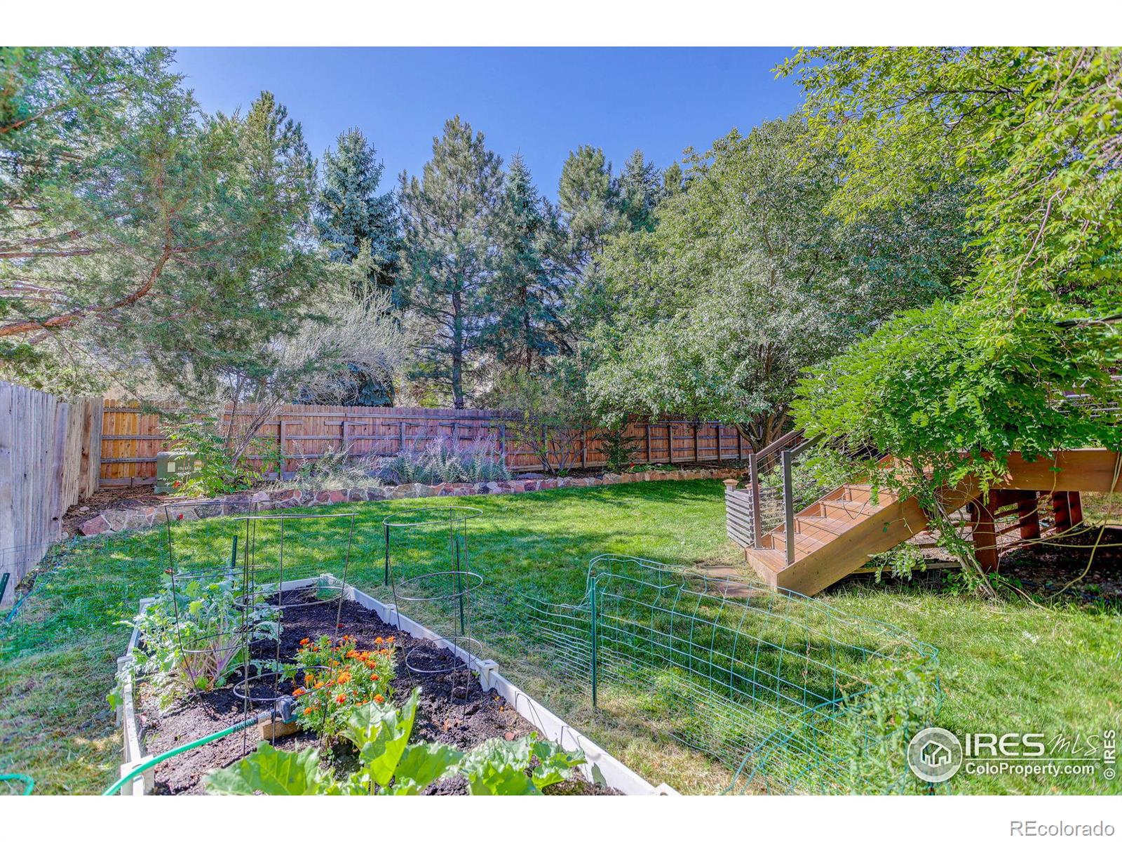 MLS Image #26 for 2823  mountain view avenue,longmont, Colorado
