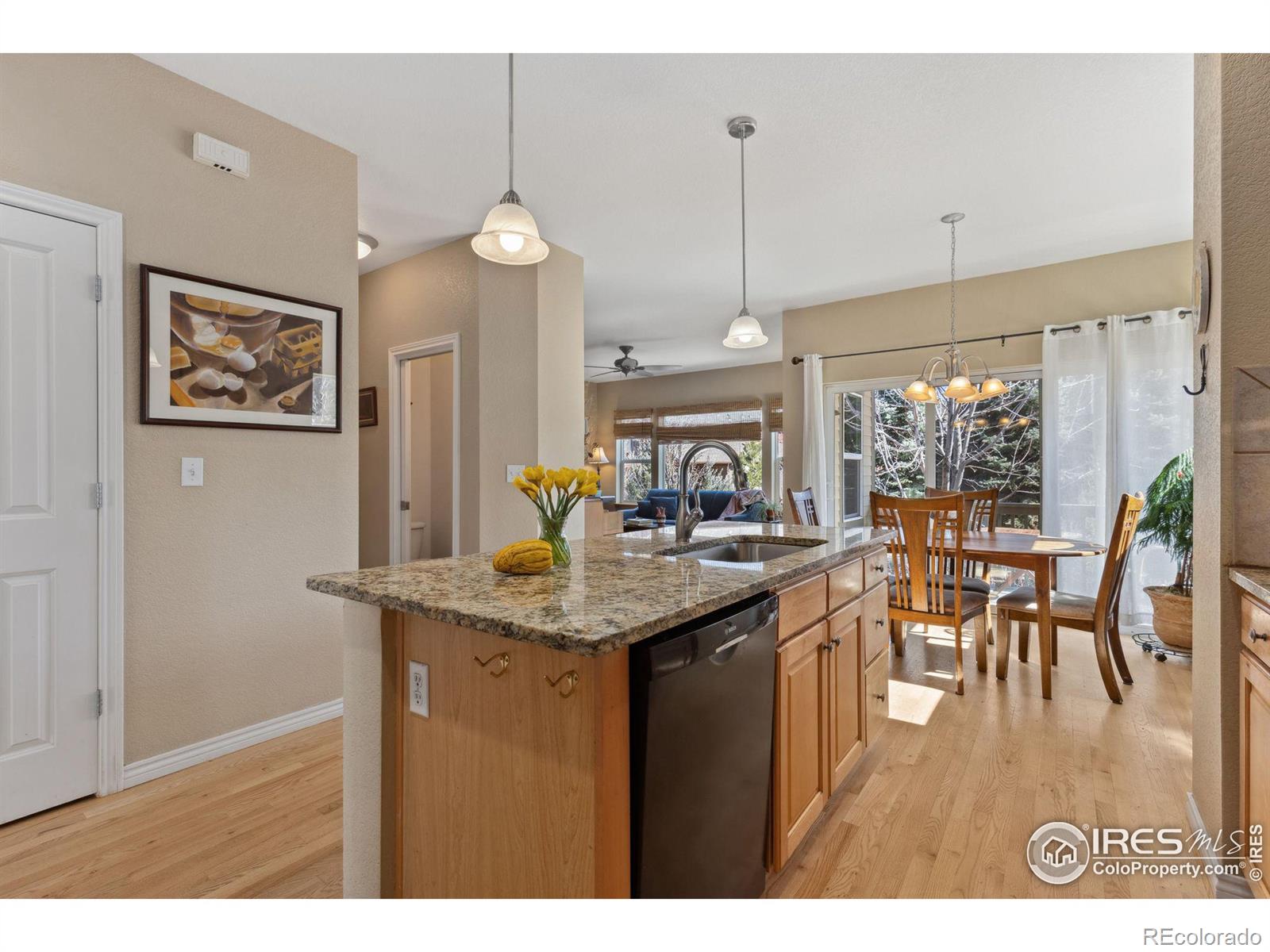 MLS Image #12 for 107  bohn court,lyons, Colorado