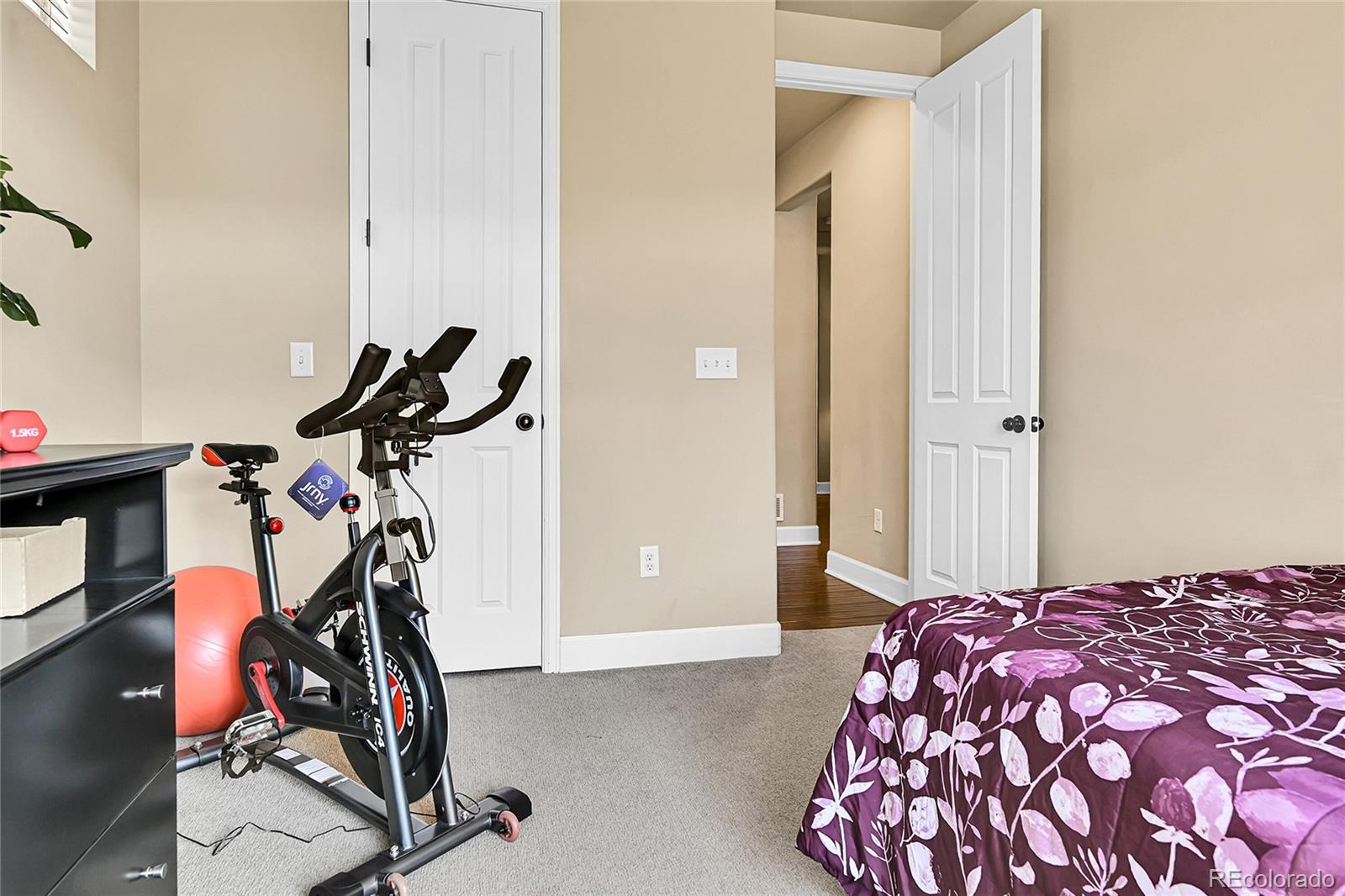 MLS Image #5 for 18101 e 44th place,denver, Colorado
