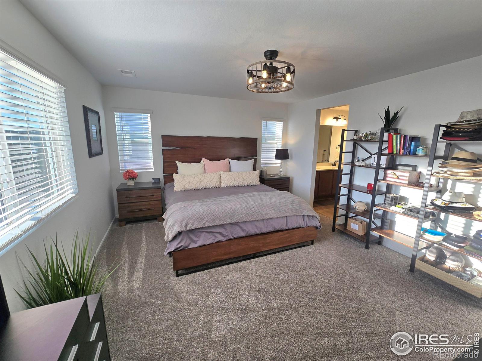 MLS Image #9 for 841  gold hill drive,erie, Colorado