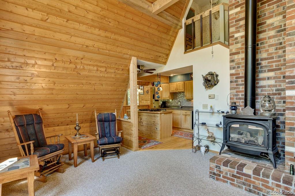 MLS Image #14 for 17408  county road 291 ,nathrop, Colorado