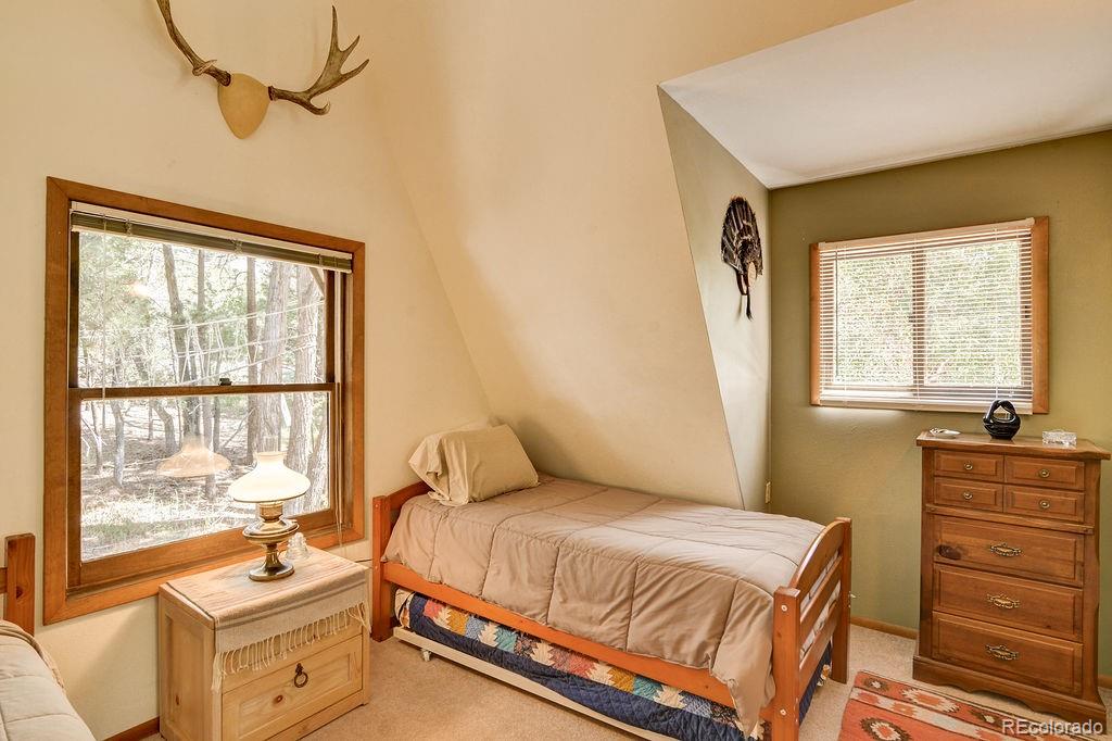 MLS Image #15 for 17408  county road 291 ,nathrop, Colorado