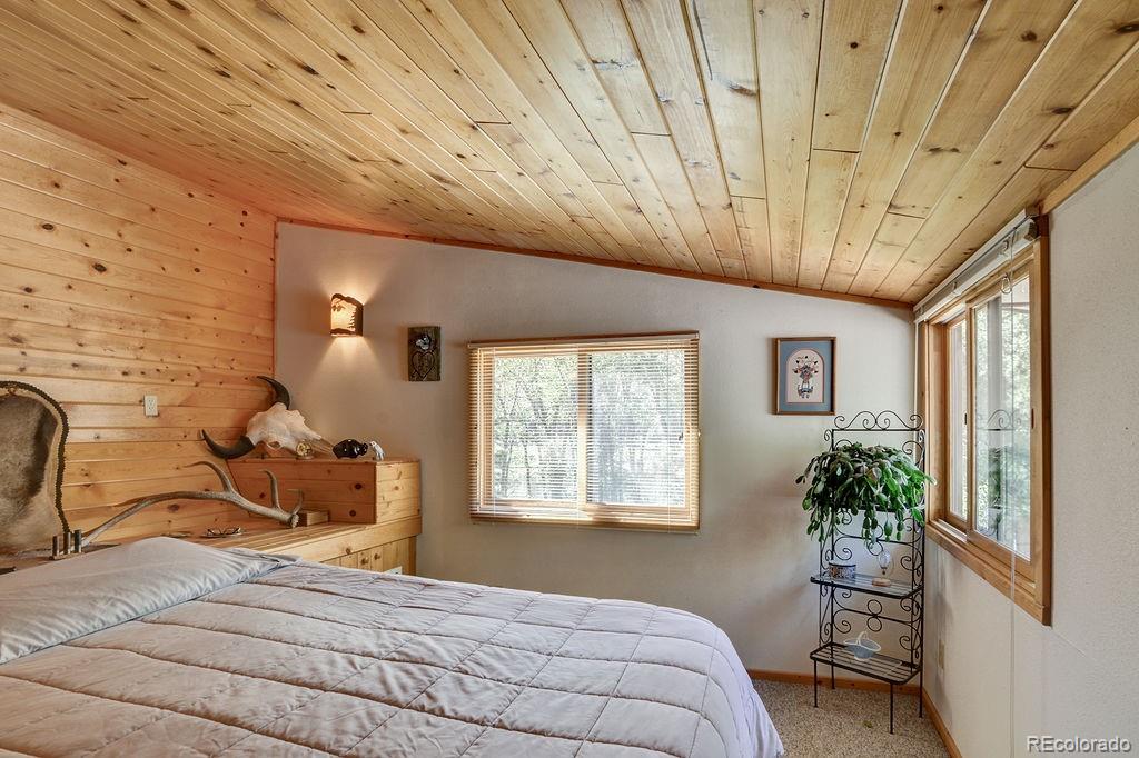 MLS Image #17 for 17408  county road 291 ,nathrop, Colorado