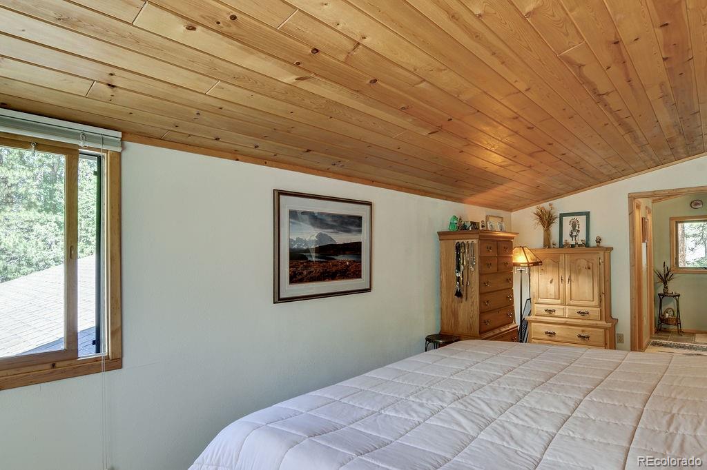 MLS Image #18 for 17408  county road 291 ,nathrop, Colorado
