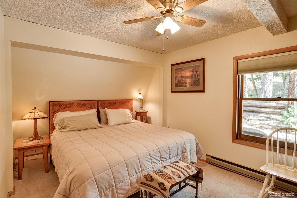 MLS Image #22 for 17408  county road 291 ,nathrop, Colorado