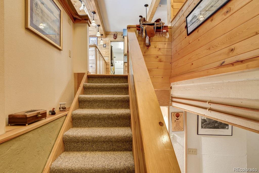 MLS Image #24 for 17408  county road 291 ,nathrop, Colorado