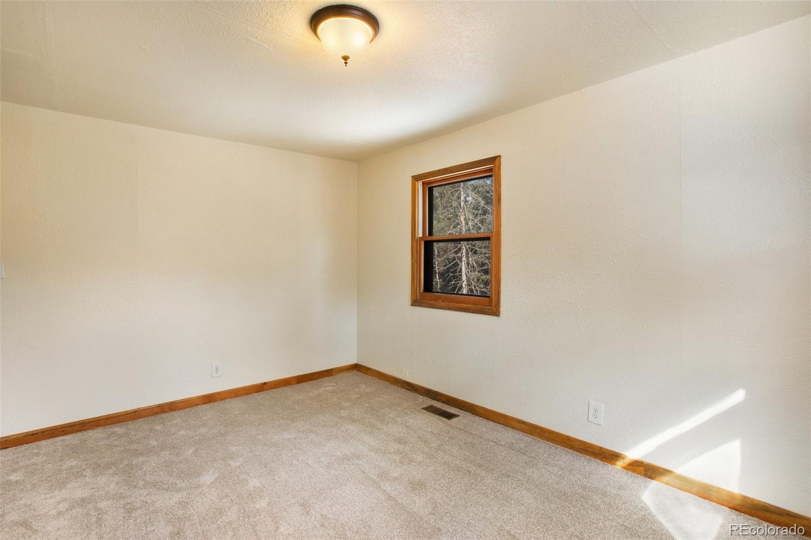 MLS Image #17 for 85 e mariposa circle,cripple creek, Colorado