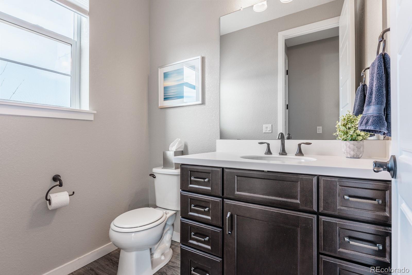 MLS Image #20 for 211  luna court,erie, Colorado