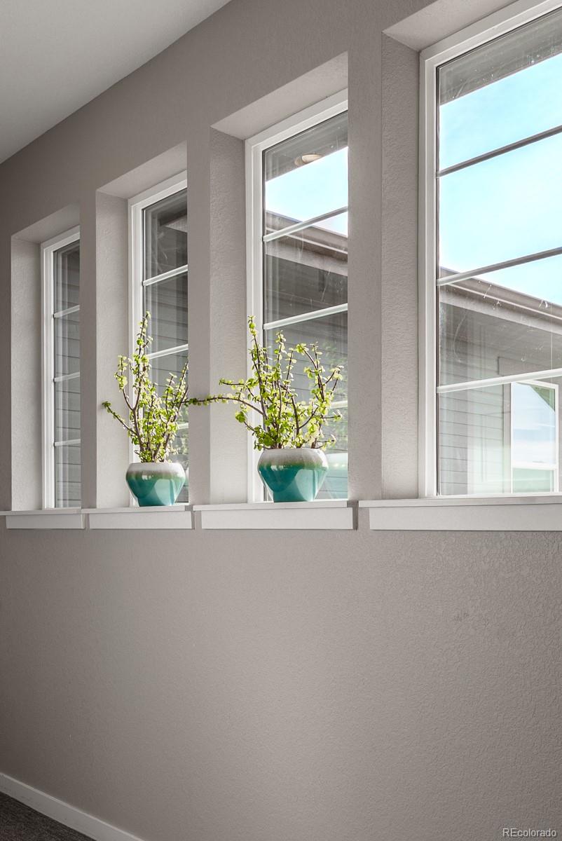 MLS Image #28 for 211  luna court,erie, Colorado