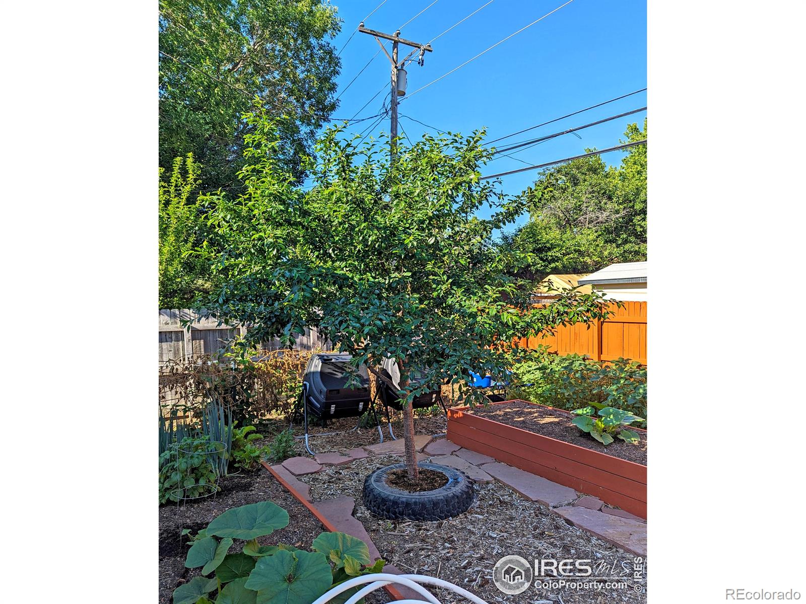 MLS Image #22 for 1517  atwood street,longmont, Colorado