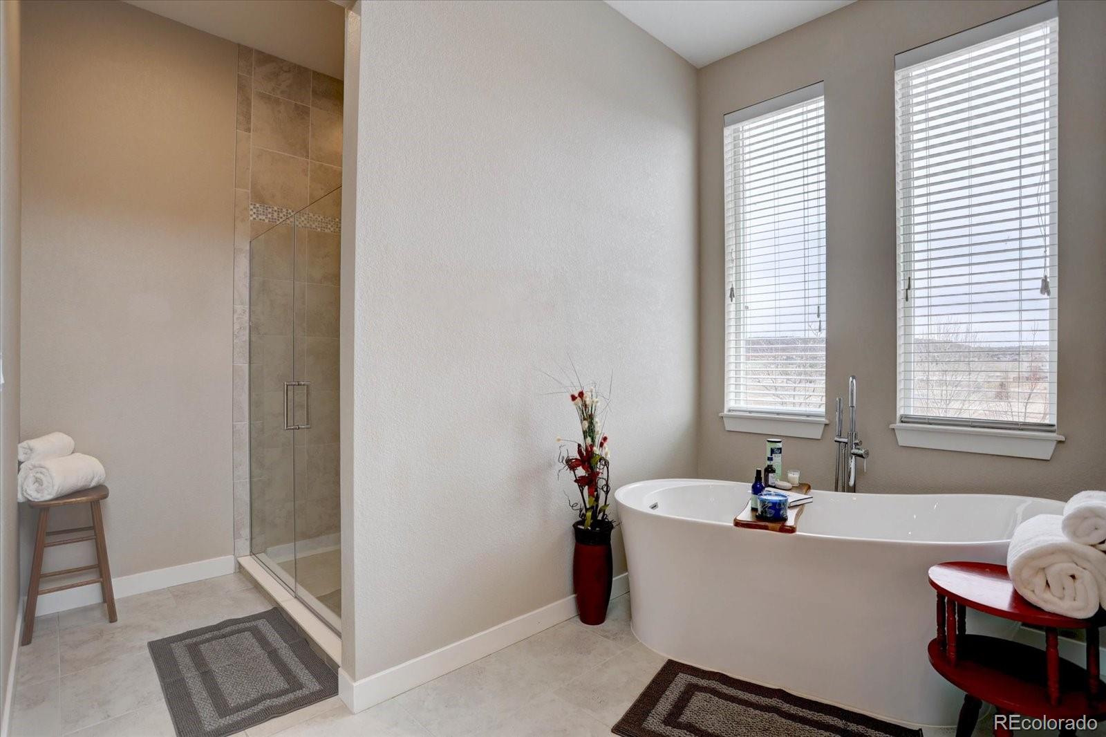 MLS Image #19 for 4483  fell mist way,castle rock, Colorado