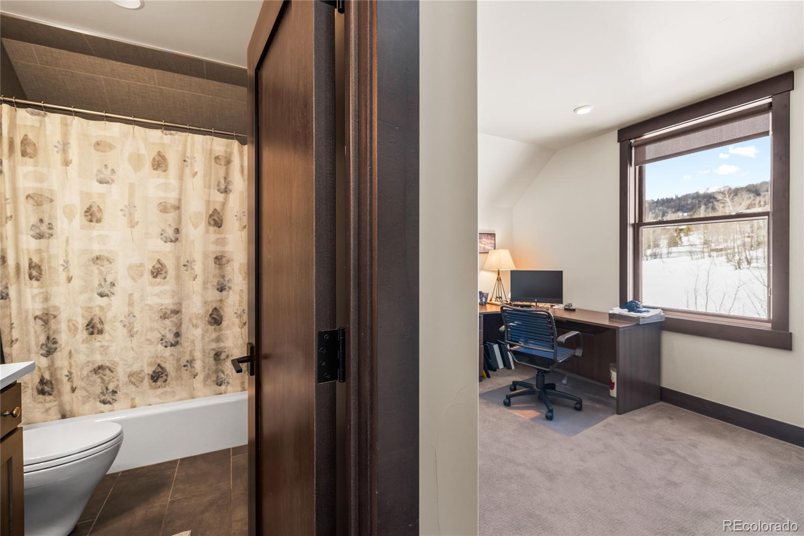 MLS Image #30 for 42 e benjamin point,silverthorne, Colorado