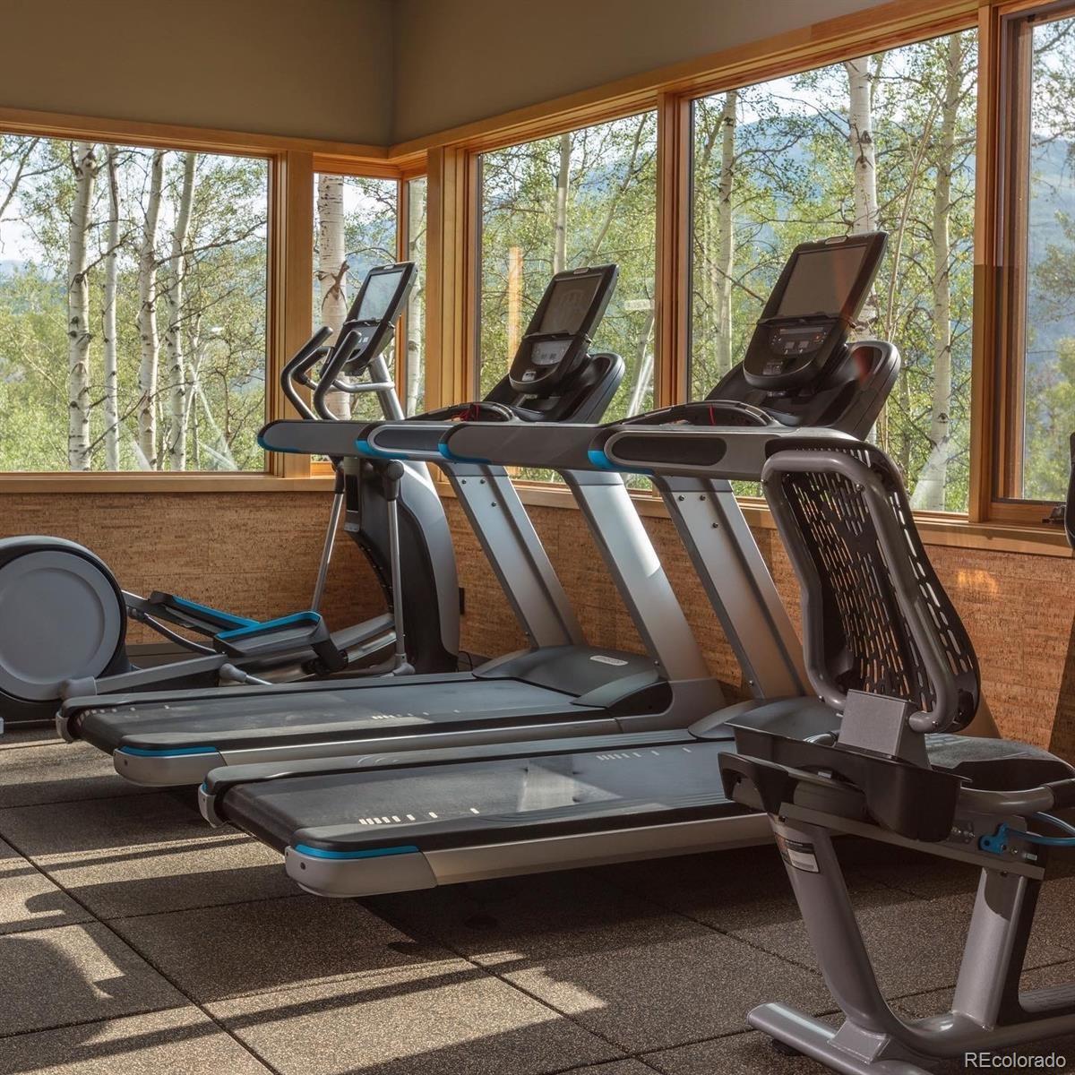 MLS Image #45 for 42 e benjamin point,silverthorne, Colorado