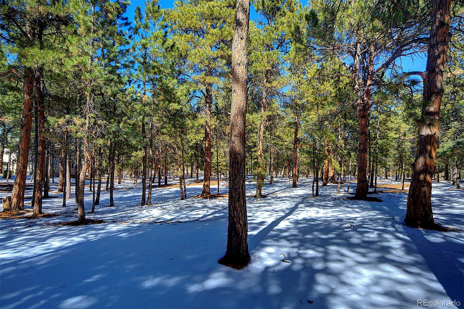 MLS Image #1 for 4070  wavy oak drive,colorado springs, Colorado
