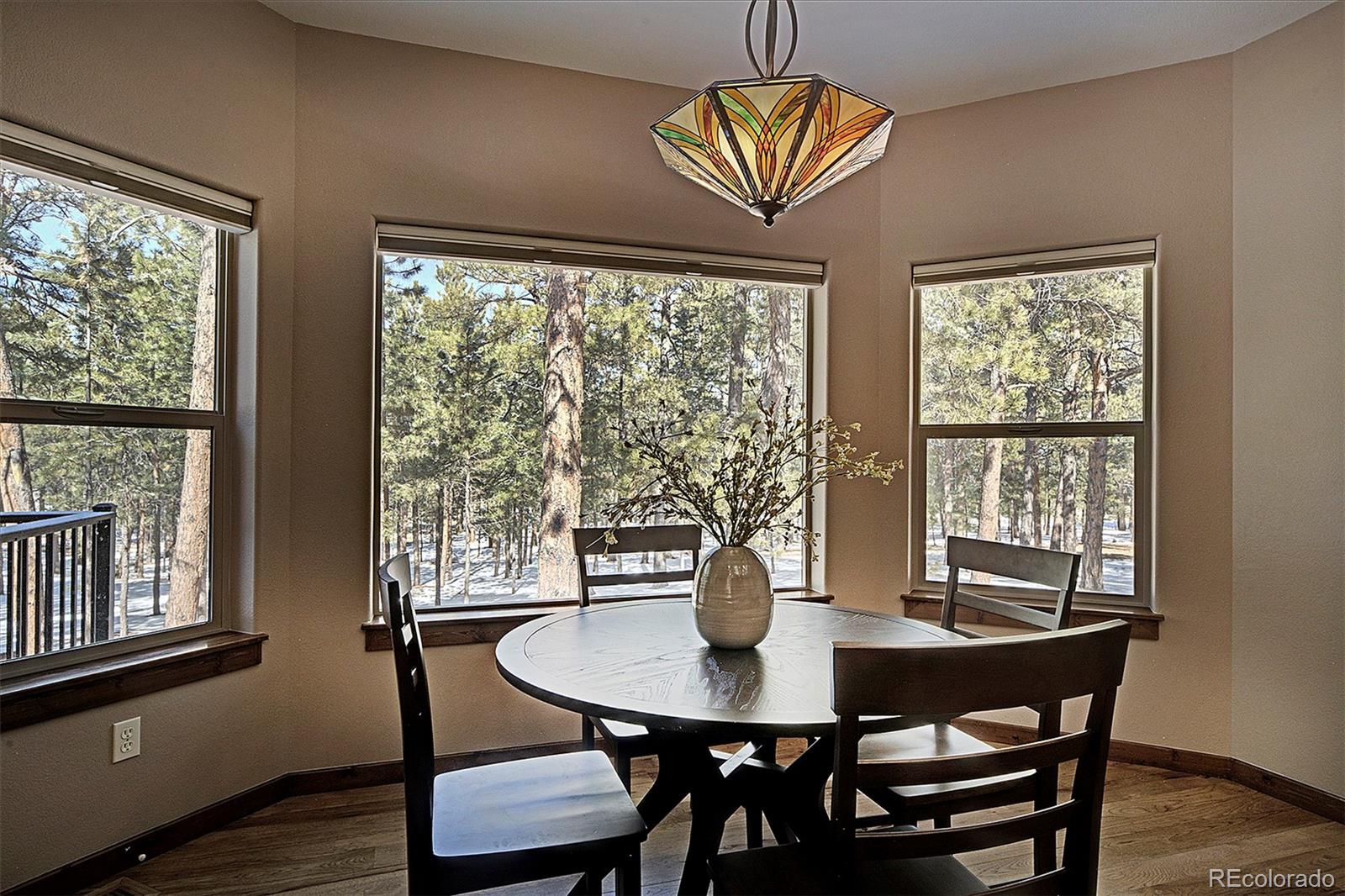 MLS Image #10 for 4070  wavy oak drive,colorado springs, Colorado