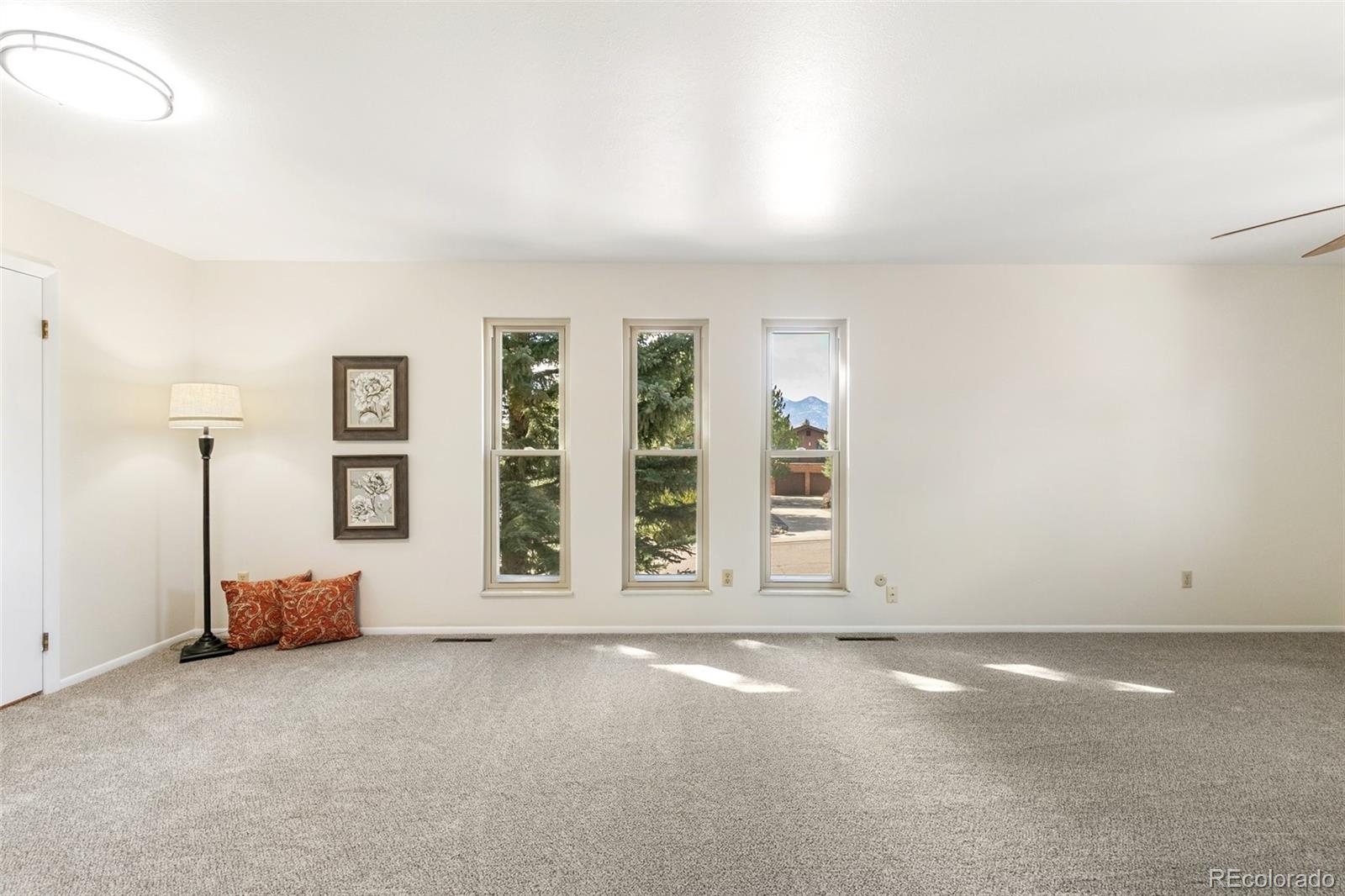 MLS Image #16 for 160  dolomite drive,colorado springs, Colorado