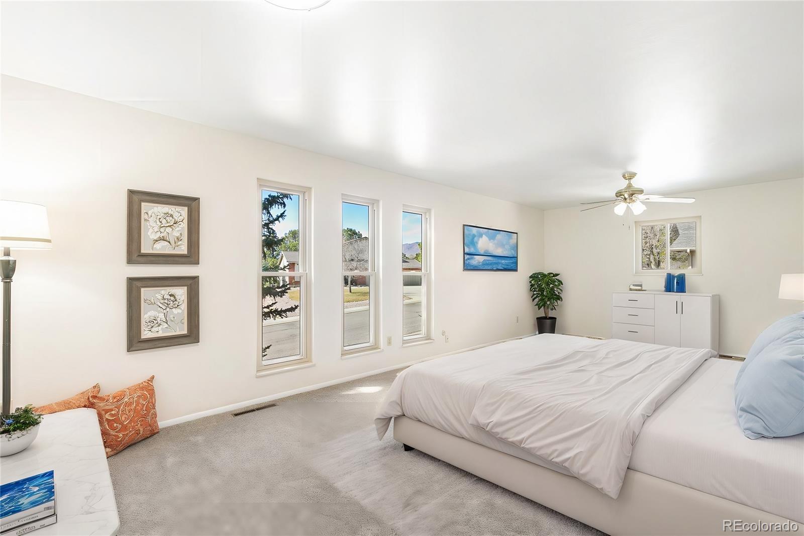 MLS Image #18 for 160  dolomite drive,colorado springs, Colorado