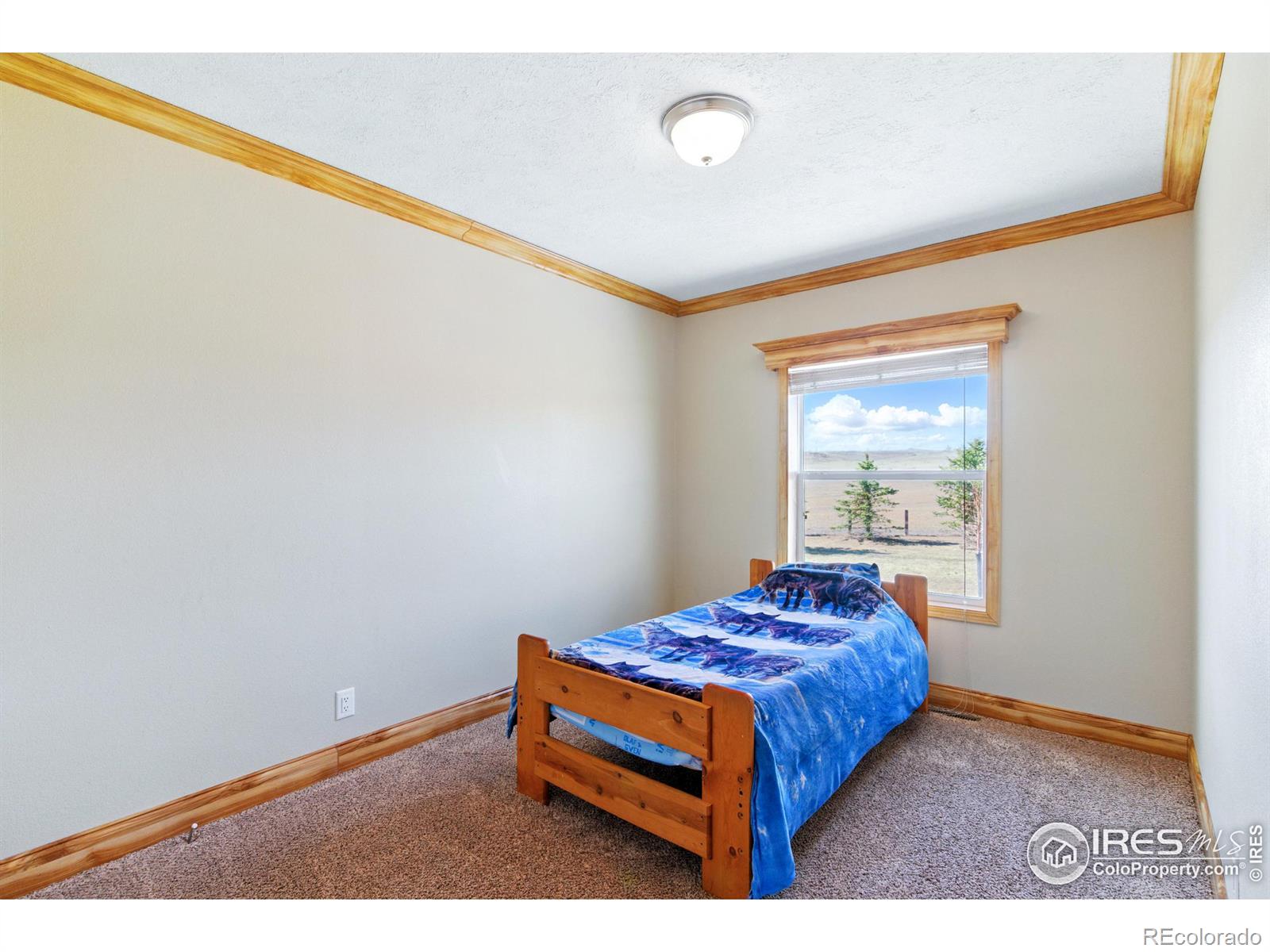 MLS Image #14 for 10010  county road 110 ,carr, Colorado