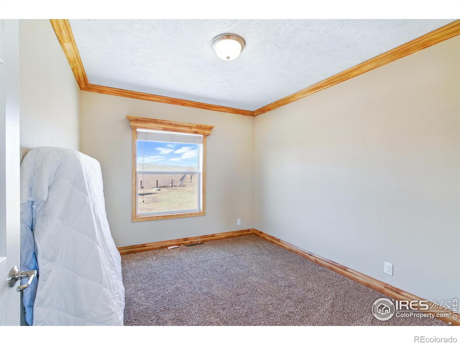 MLS Image #16 for 10010  county road 110 ,carr, Colorado
