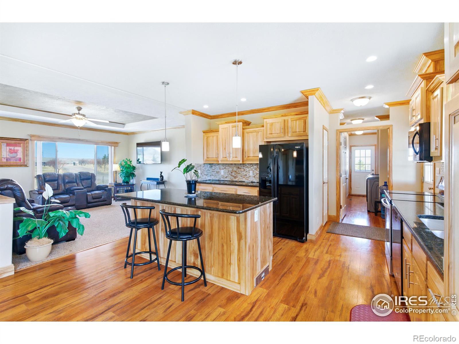 MLS Image #4 for 10010  county road 110 ,carr, Colorado