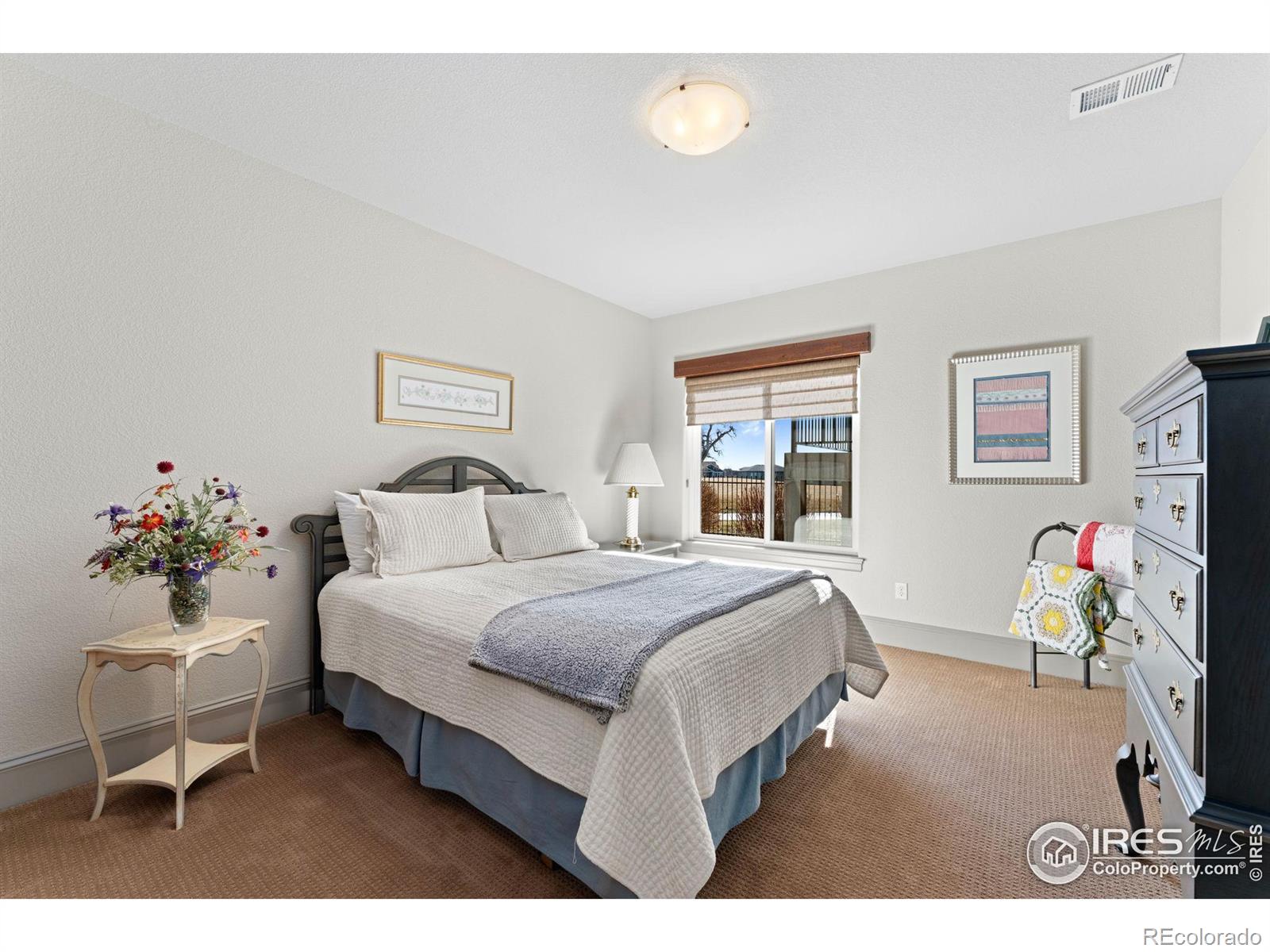 MLS Image #29 for 6650  murano drive,windsor, Colorado