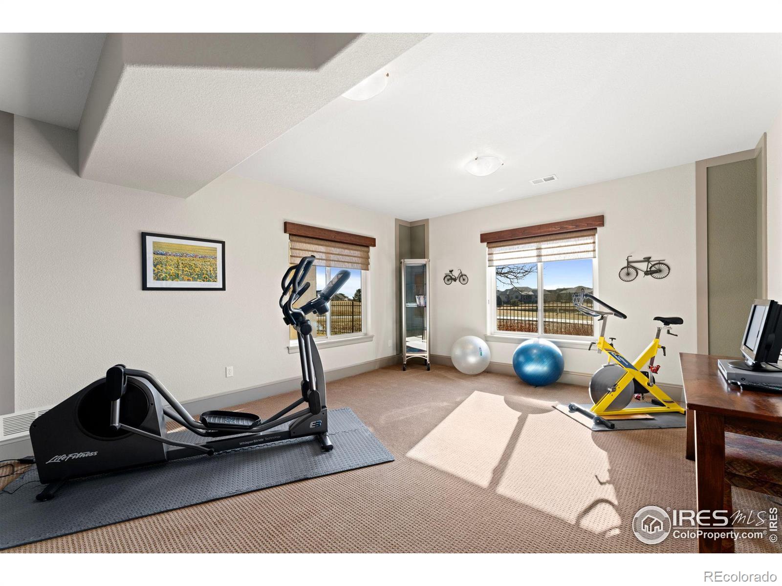 MLS Image #31 for 6650  murano drive,windsor, Colorado