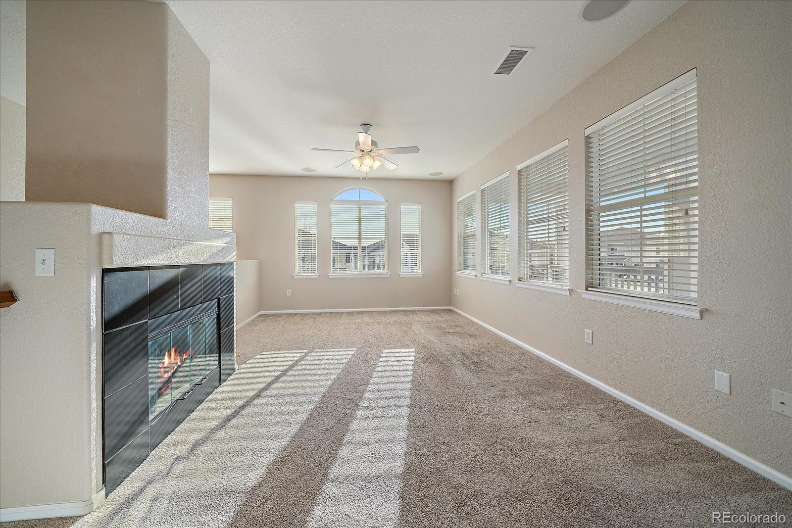 MLS Image #9 for 74  whitehaven circle,highlands ranch, Colorado