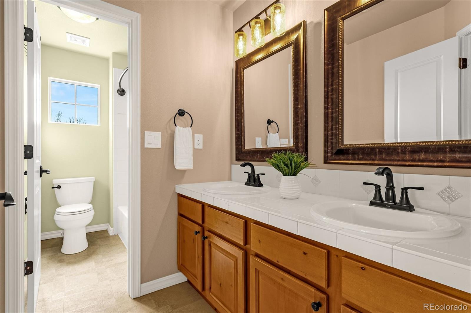 MLS Image #18 for 308  homeland court,colorado springs, Colorado