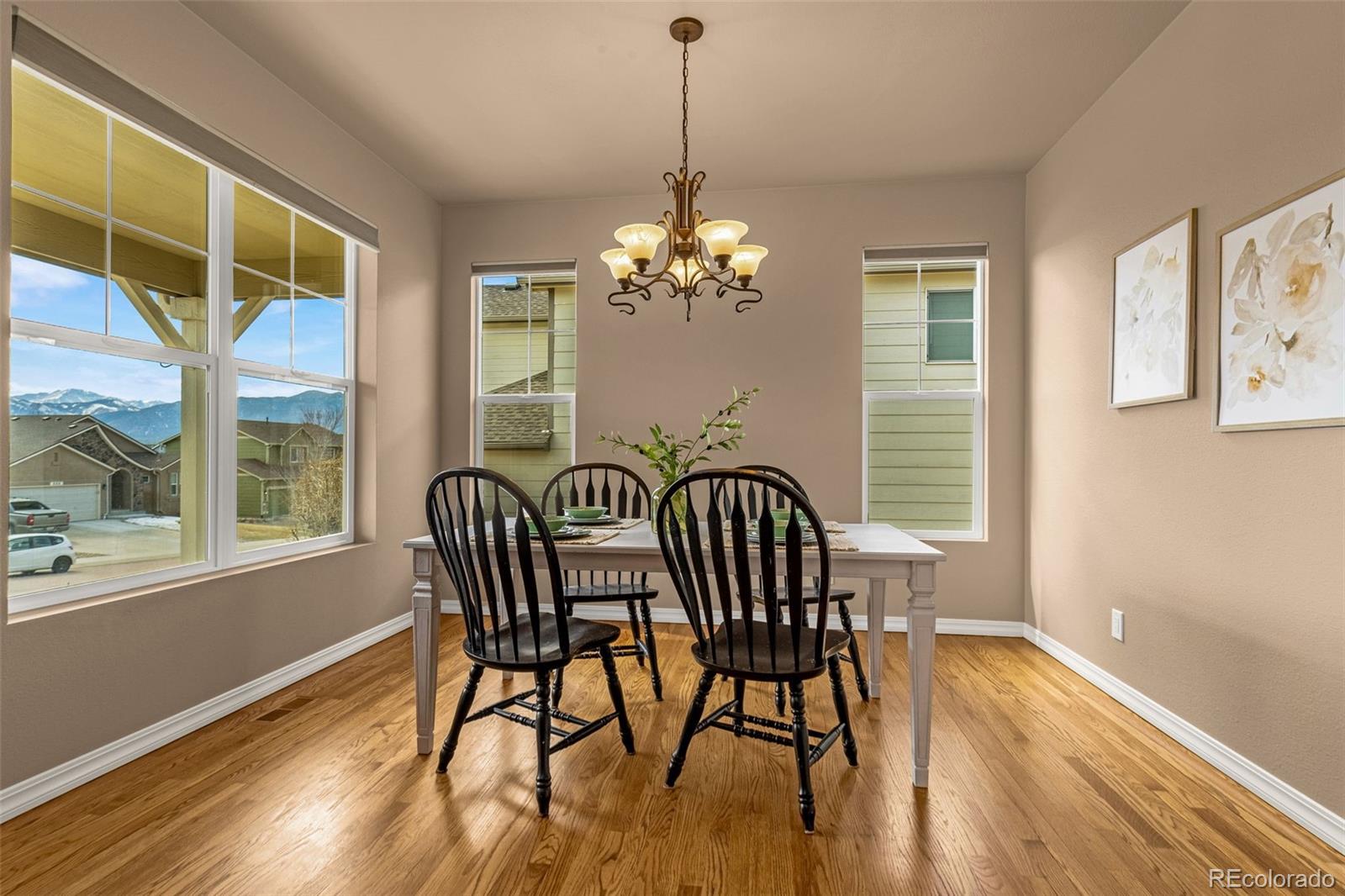 MLS Image #4 for 308  homeland court,colorado springs, Colorado