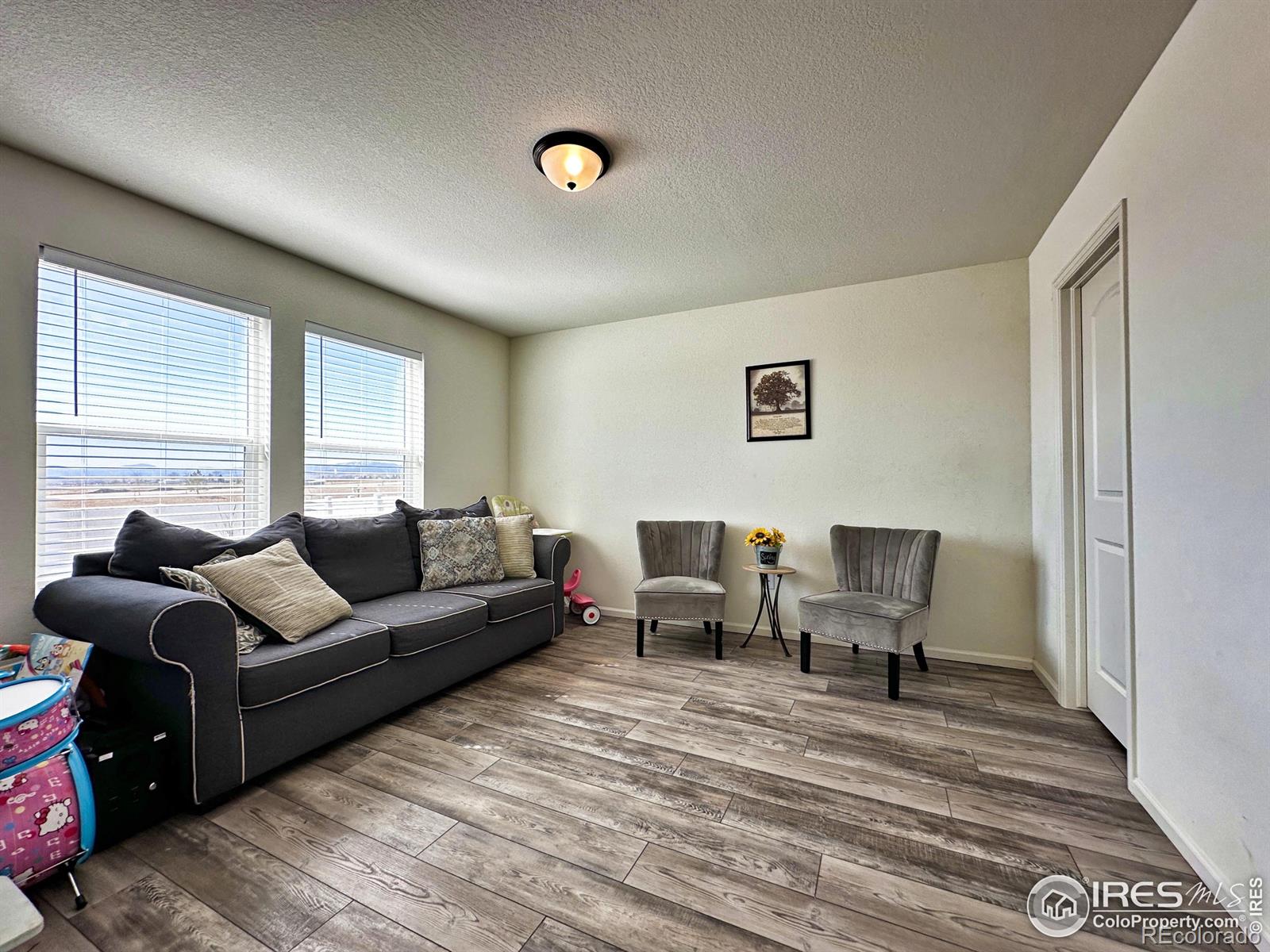 MLS Image #17 for 1495  biffle court,berthoud, Colorado