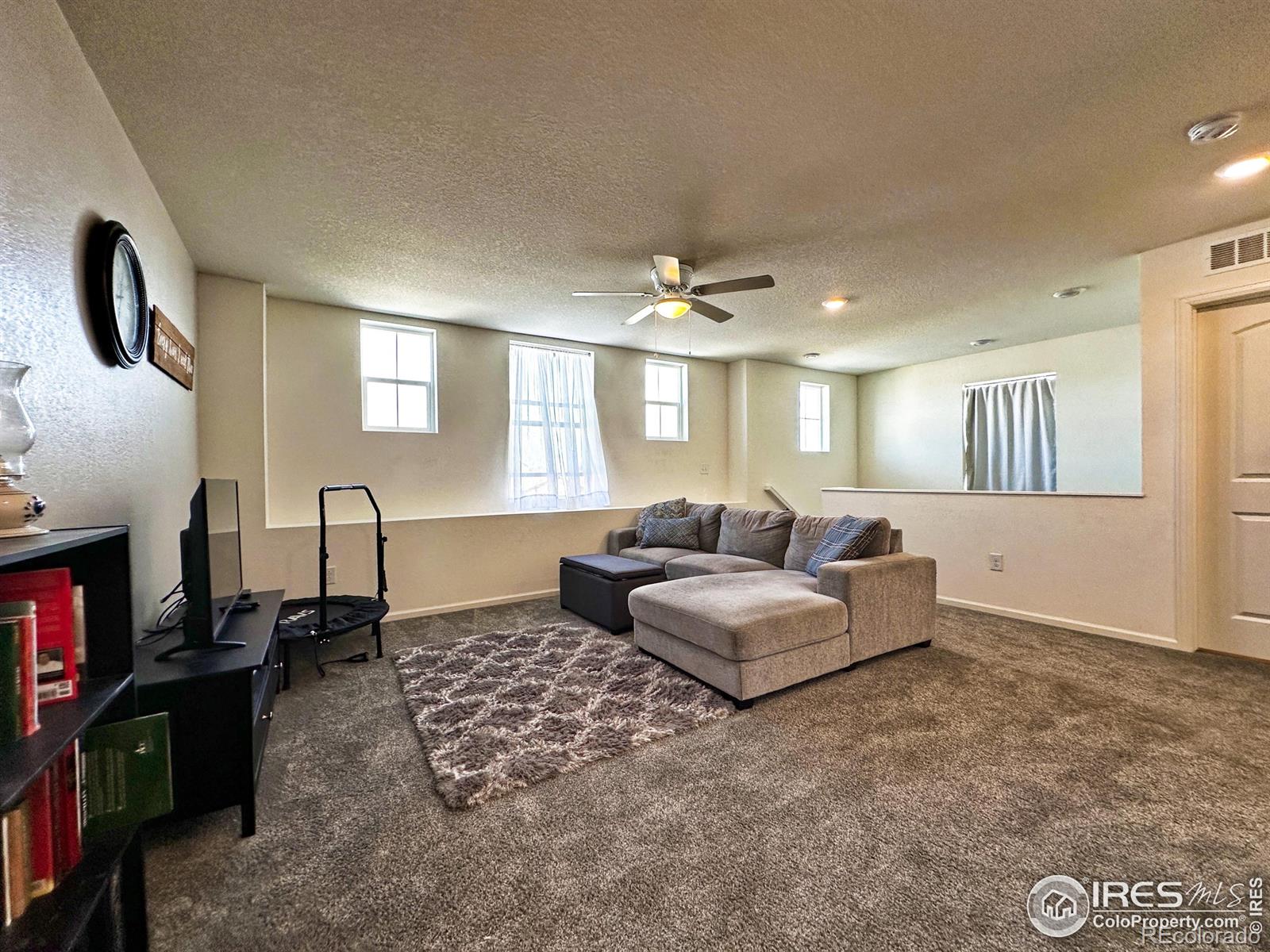 MLS Image #20 for 1495  biffle court,berthoud, Colorado