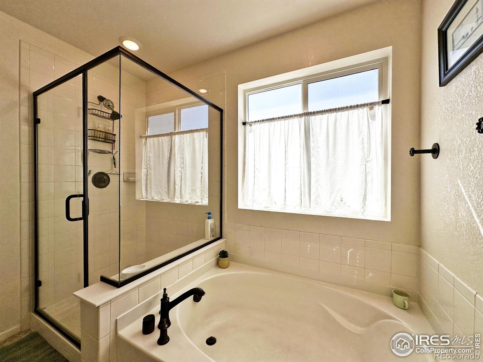 MLS Image #26 for 1495  biffle court,berthoud, Colorado