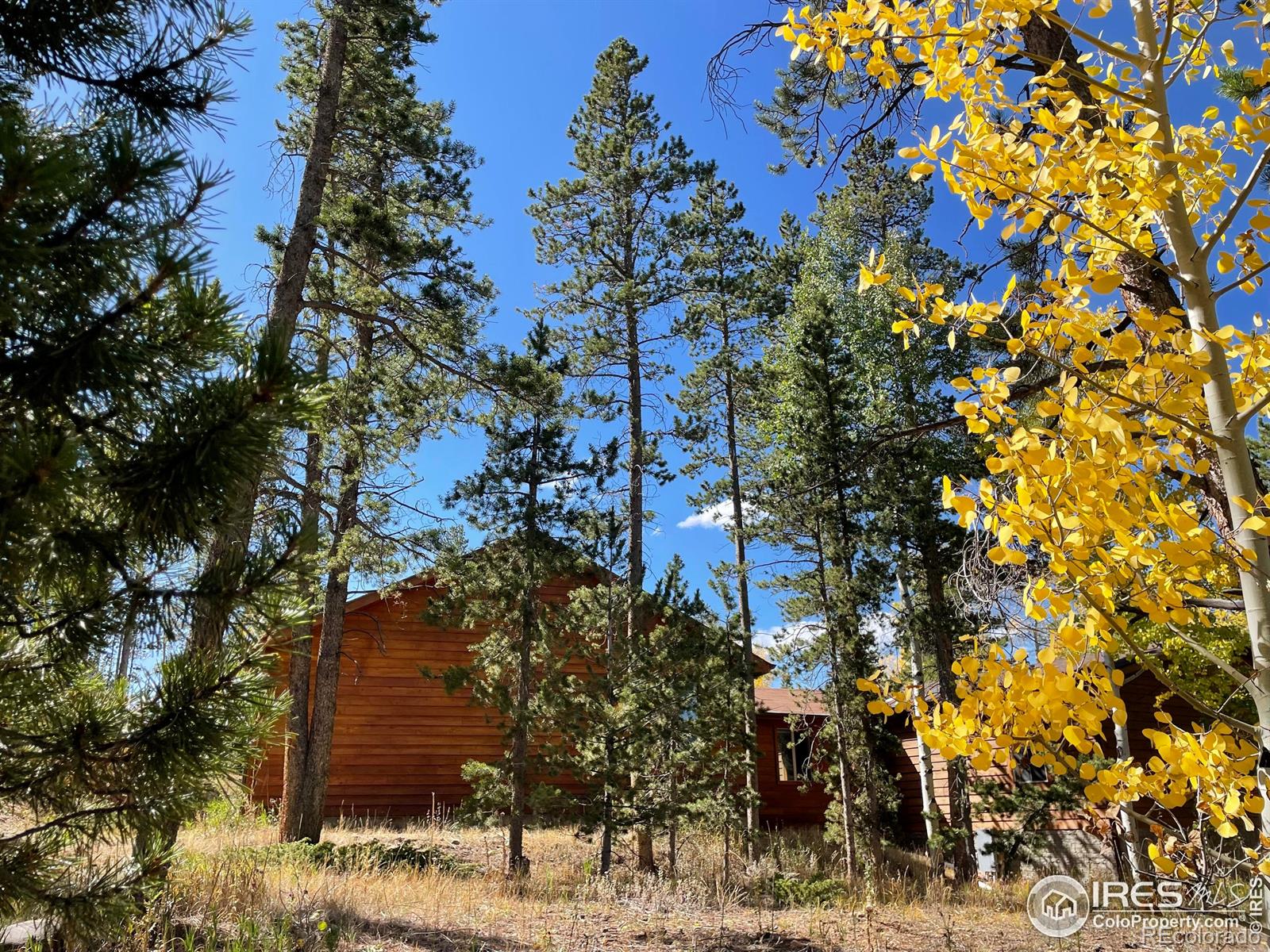 MLS Image #20 for 50  kanawha court,red feather lakes, Colorado