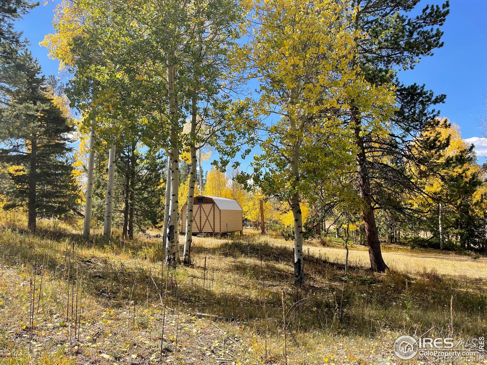 MLS Image #21 for 50  kanawha court,red feather lakes, Colorado