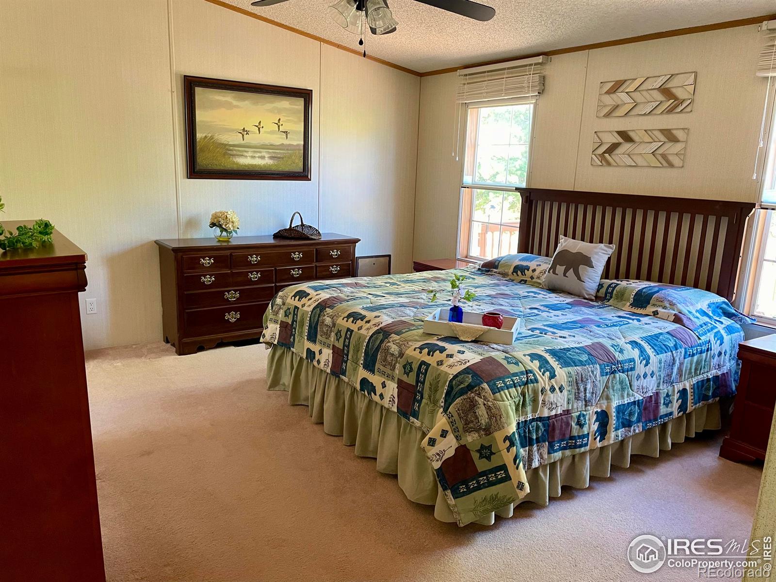 MLS Image #23 for 50  kanawha court,red feather lakes, Colorado