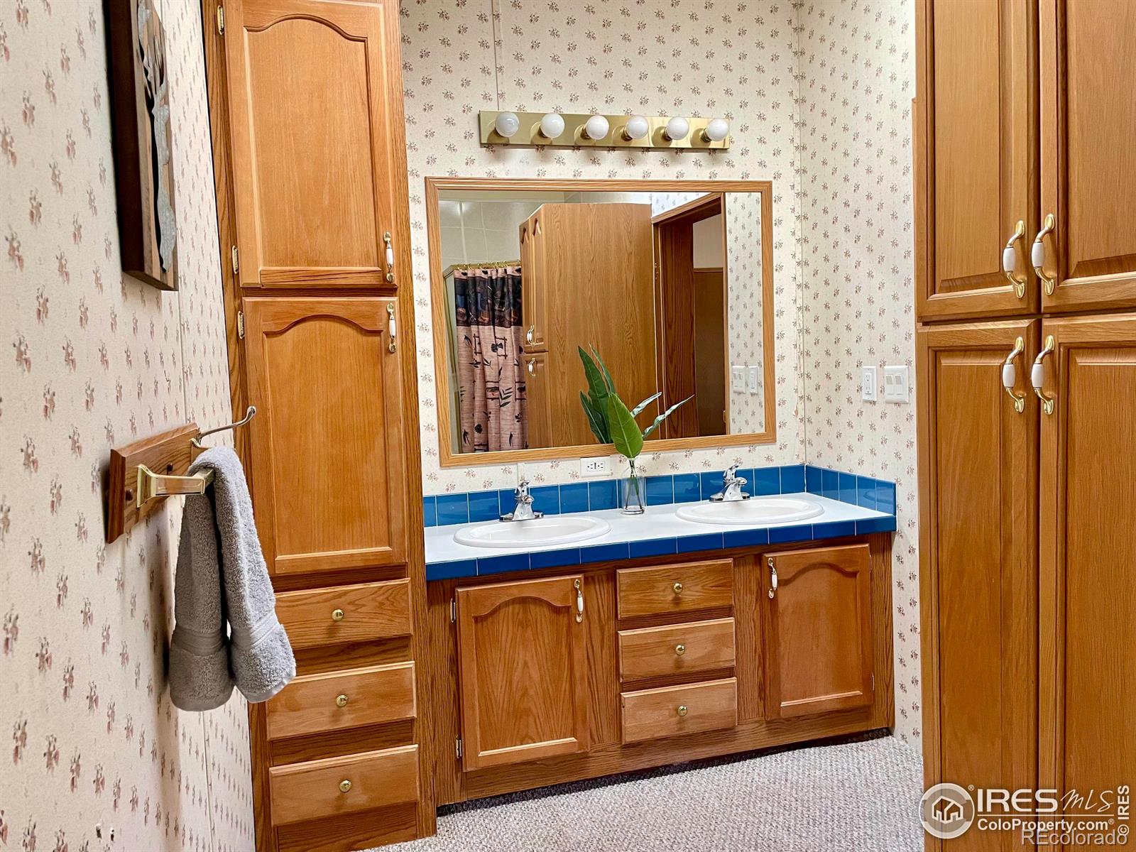 MLS Image #25 for 50  kanawha court,red feather lakes, Colorado