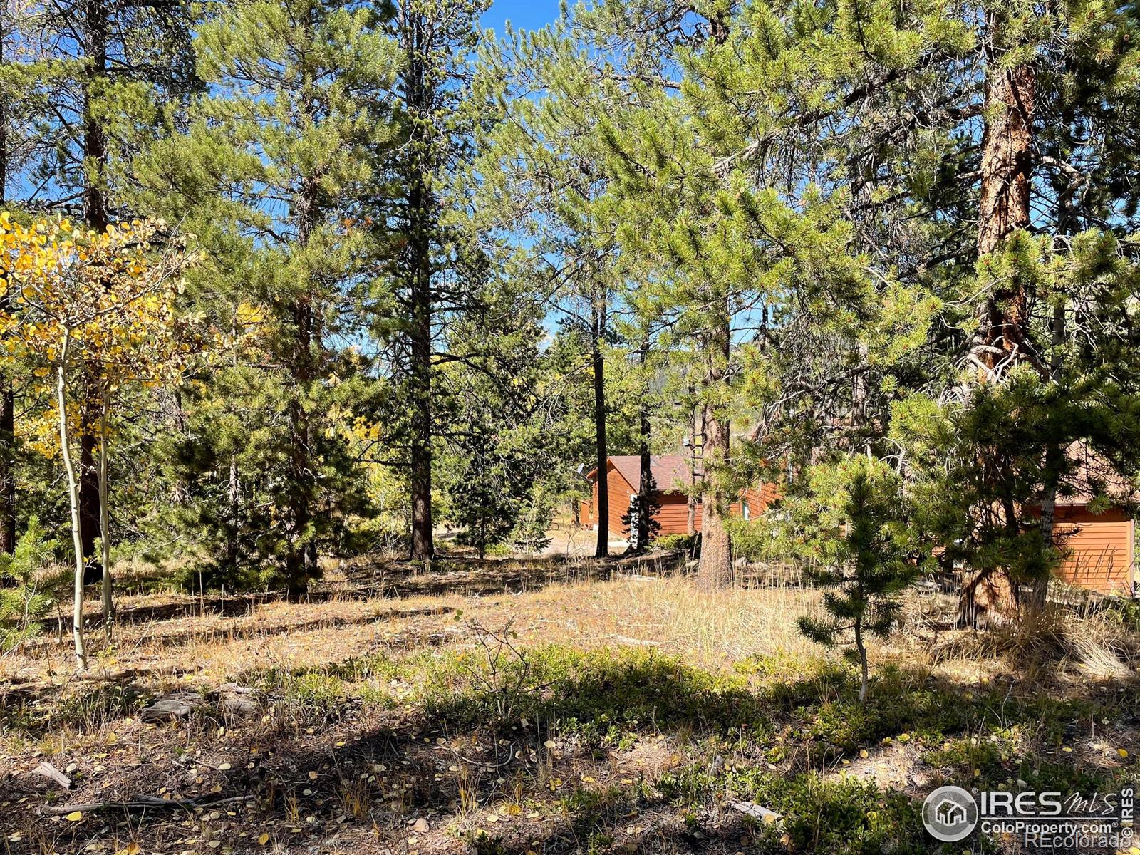 MLS Image #36 for 50  kanawha court,red feather lakes, Colorado