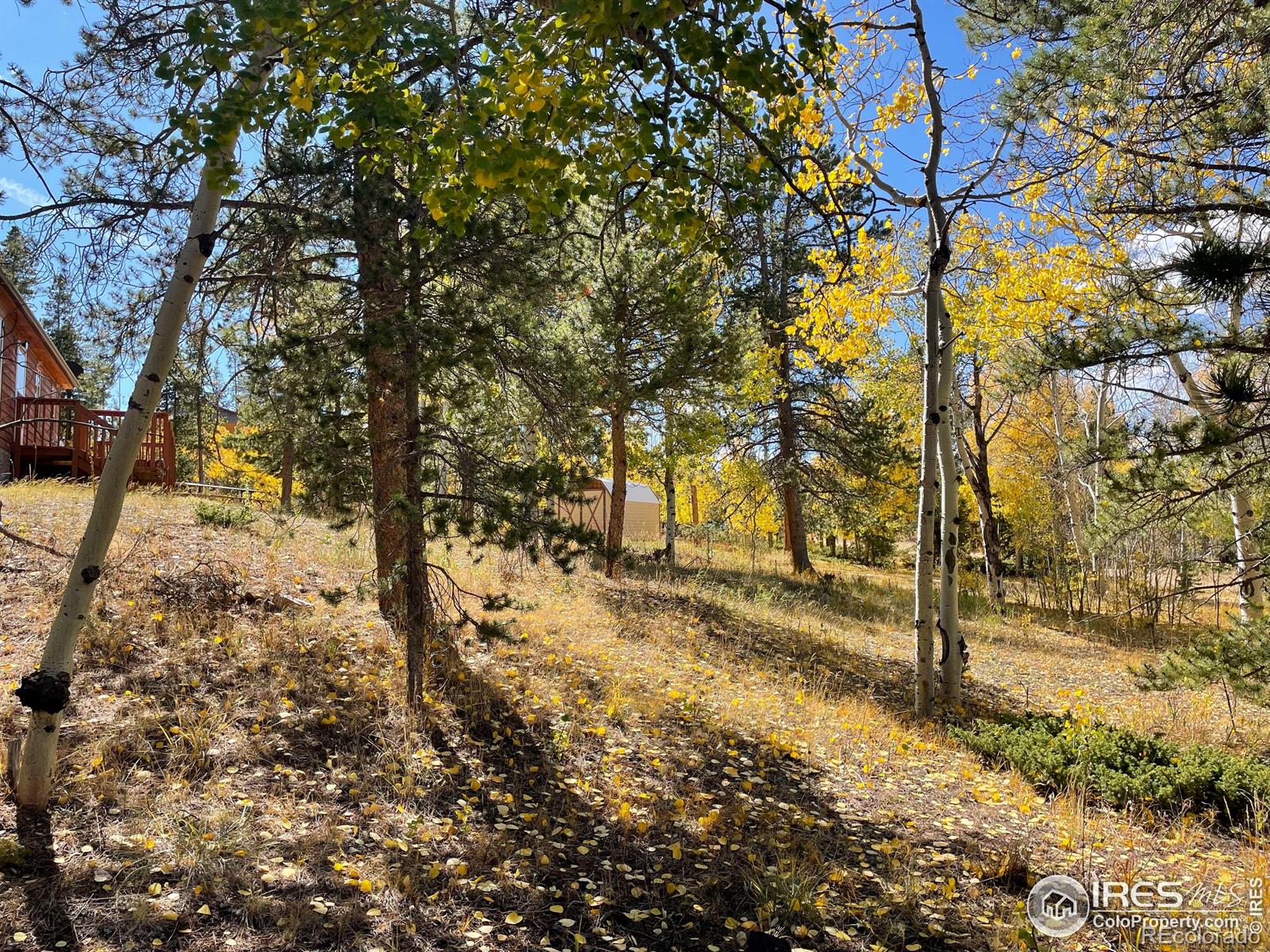 MLS Image #37 for 50  kanawha court,red feather lakes, Colorado