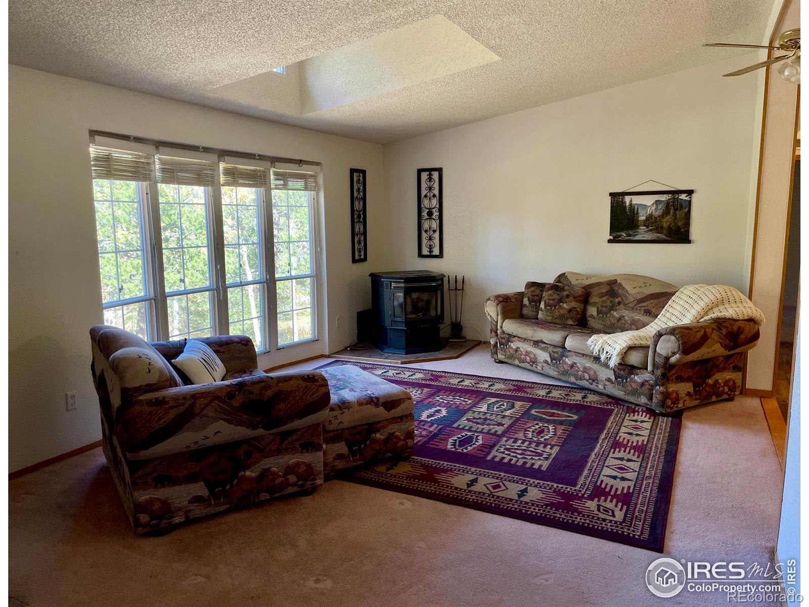 MLS Image #9 for 50  kanawha court,red feather lakes, Colorado