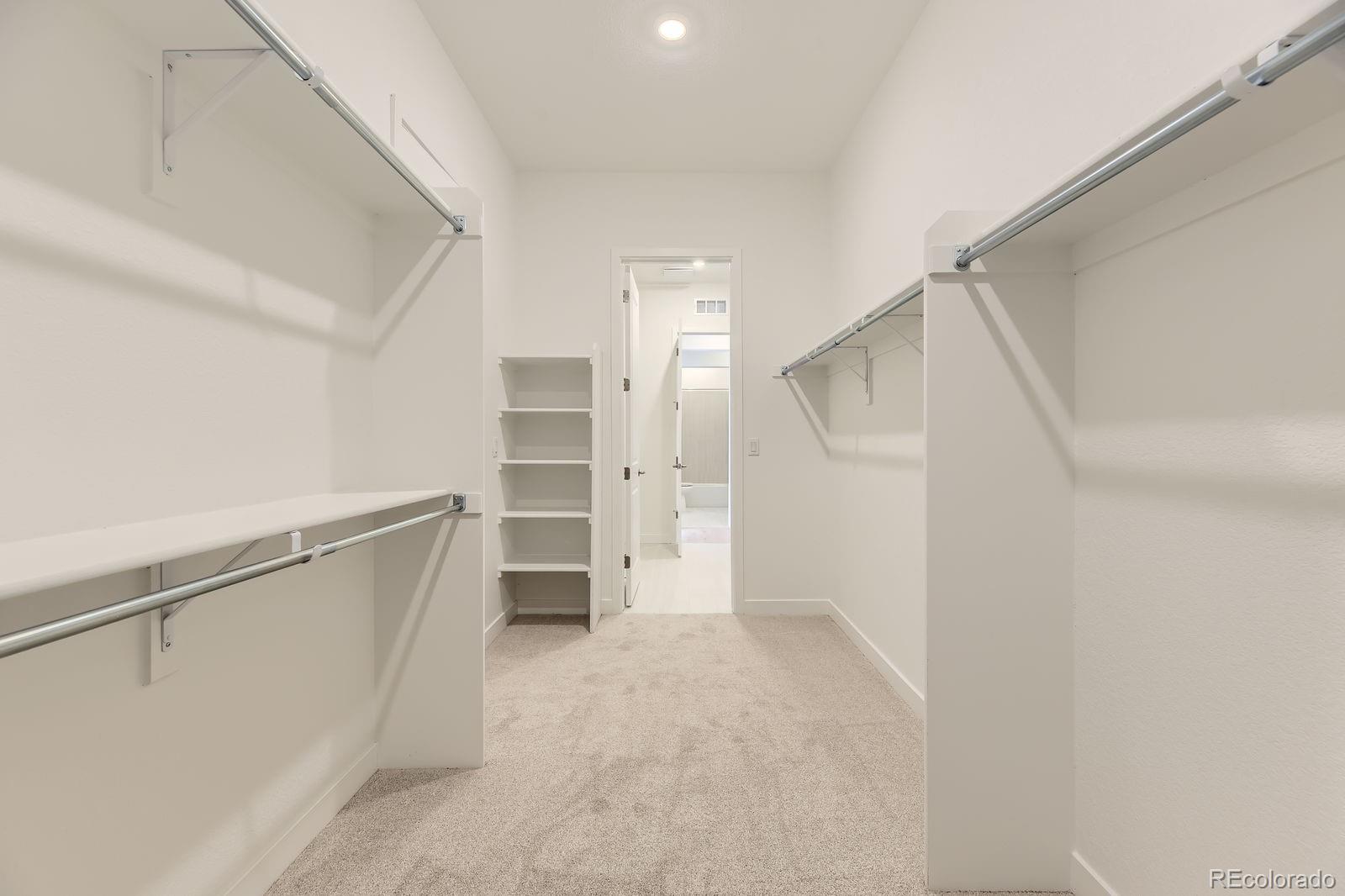 MLS Image #14 for 3877  treadway point,castle rock, Colorado