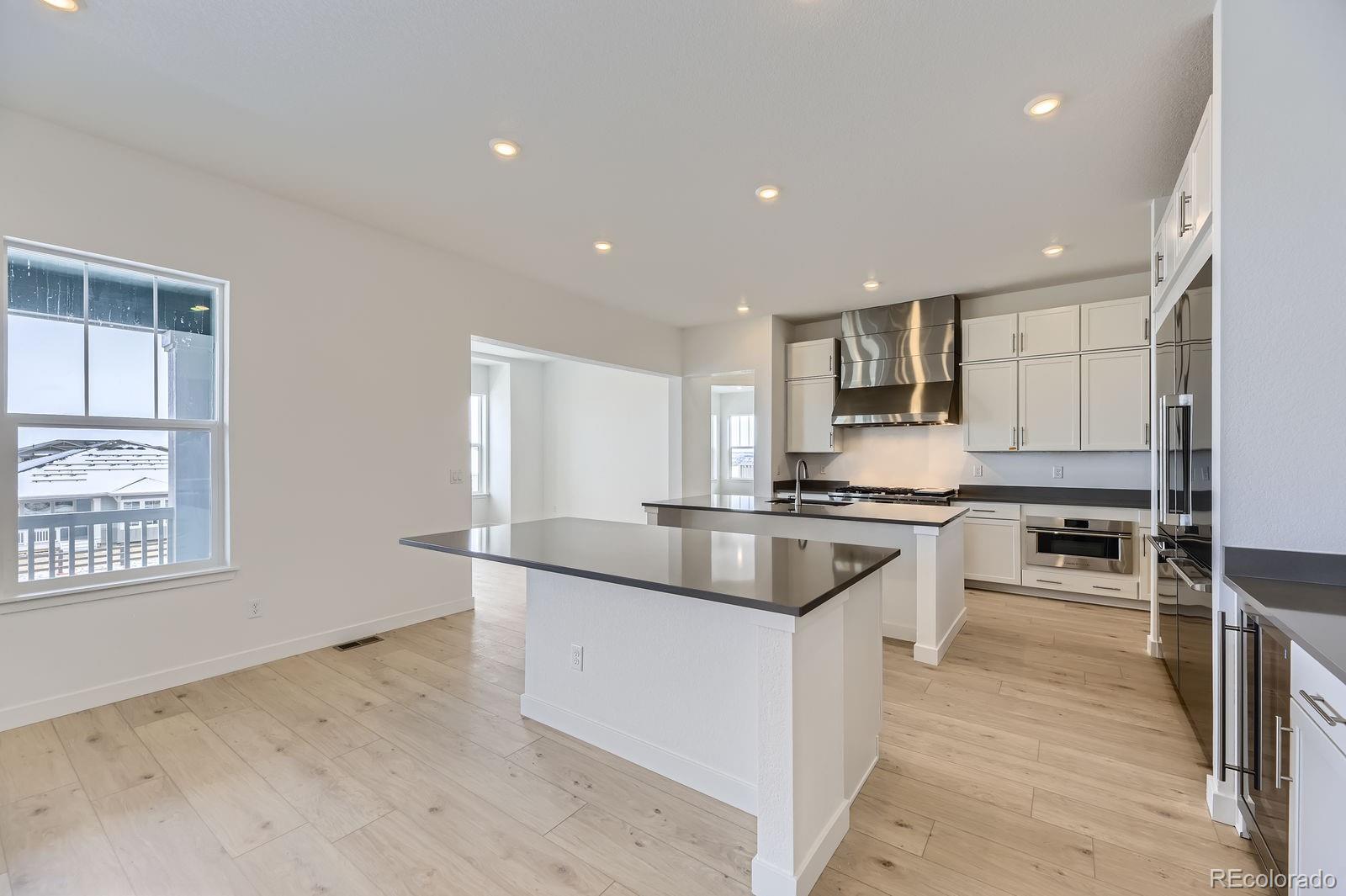 MLS Image #4 for 3877  treadway point,castle rock, Colorado