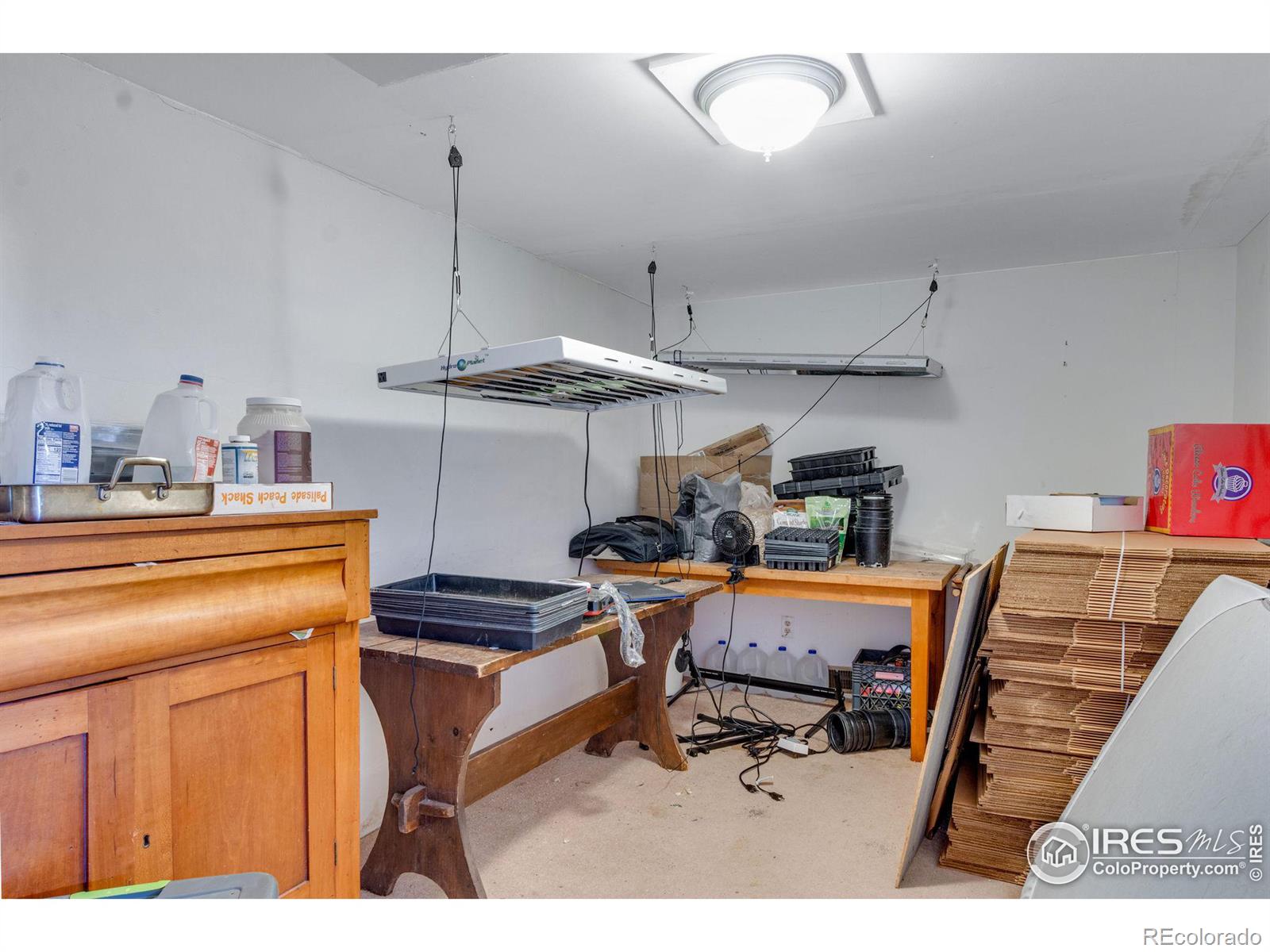 MLS Image #25 for 1113  collyer street,longmont, Colorado
